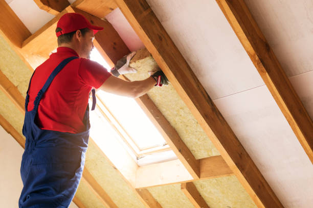 Best Attic Insulation Installation  in Blackwater, AZ